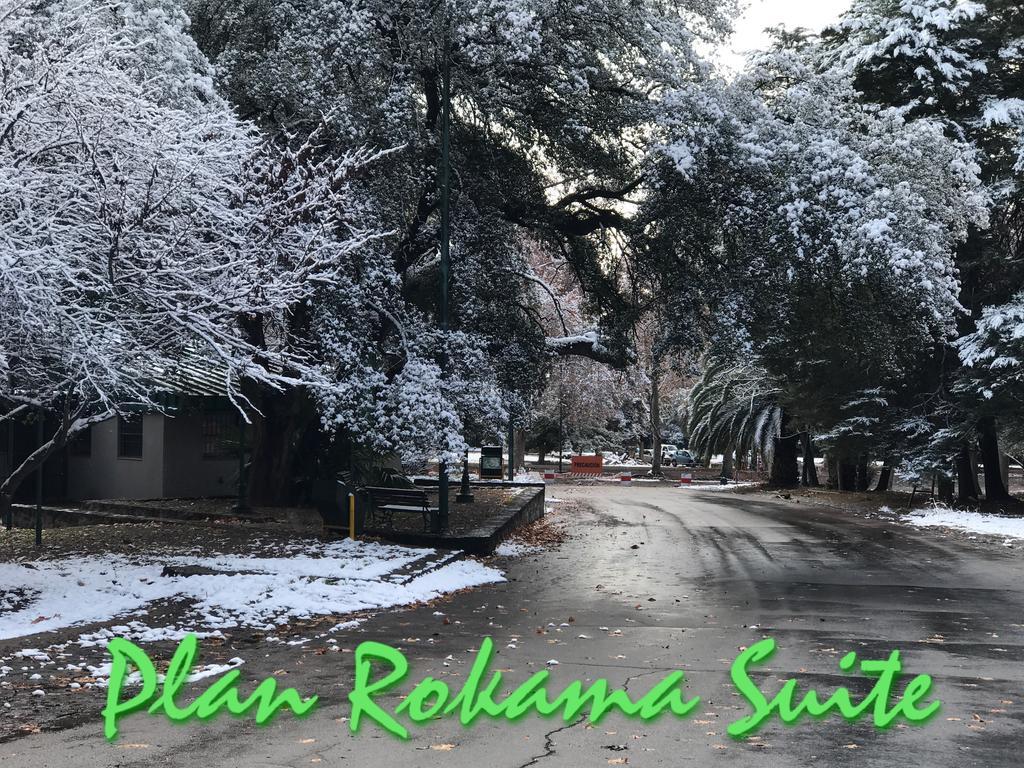Plan Rokama Suite 586 门多萨 外观 照片